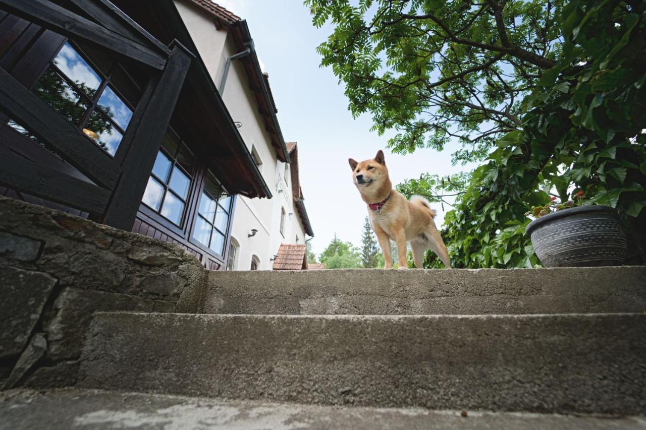 Penzion Onyx Český Krumlov Dış mekan fotoğraf